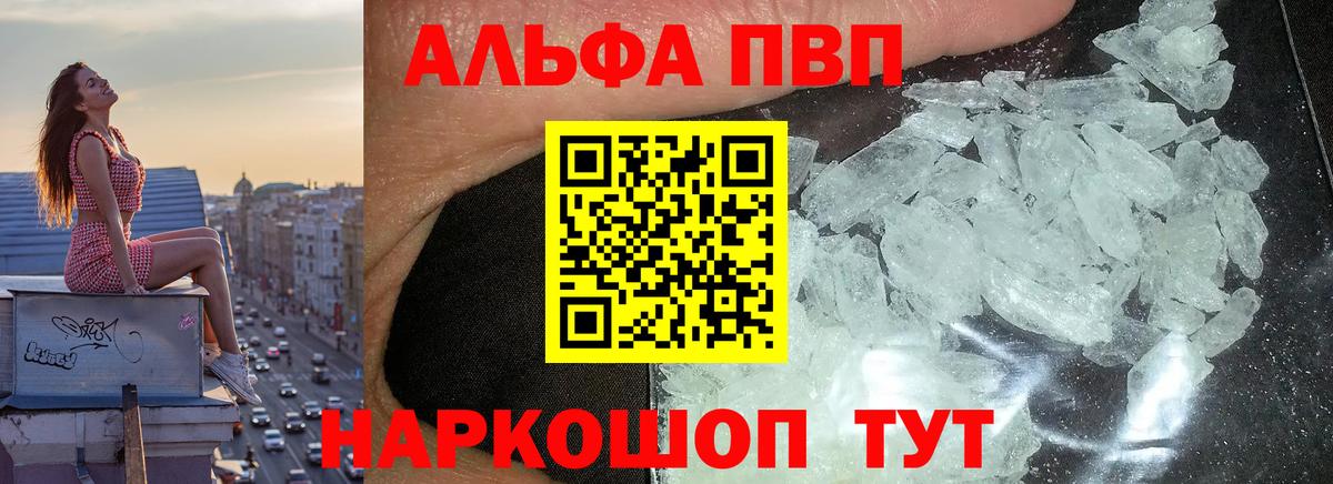 A PVP СК КРИС Шахты
