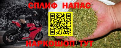 эйфоретик Можга