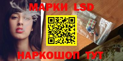 спиды Моздок