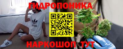 спиды Моздок