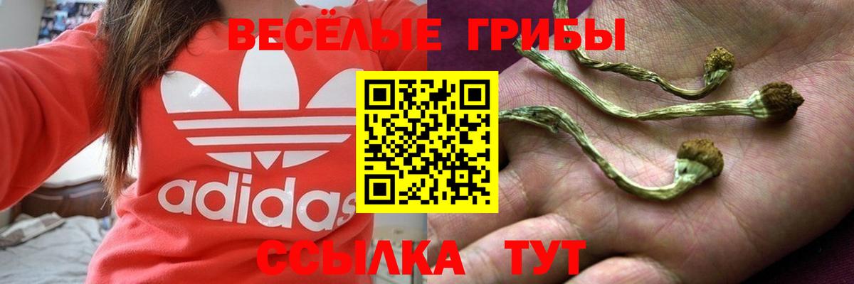 Шахты  Псилоцибиновые грибы мухоморы  Псилоцибиновые грибы Psilocybe  наркошоп  Вход с VPN 